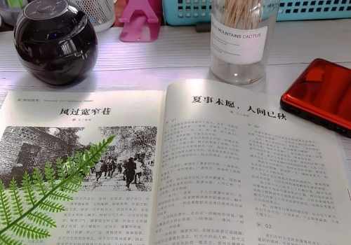 普通妈妈创业写作10个月 月收入能过万元