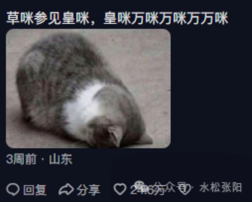 北京妹在抖音让猫装皇帝 装出296万粉丝